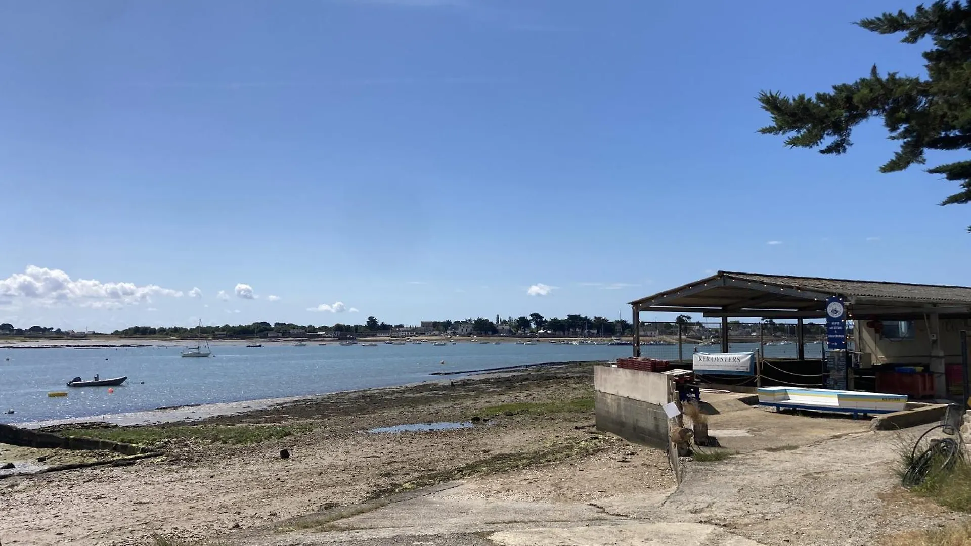 Emplacement Exceptionnel - Tour Du Parc Le Tour-du-Parc 0*,